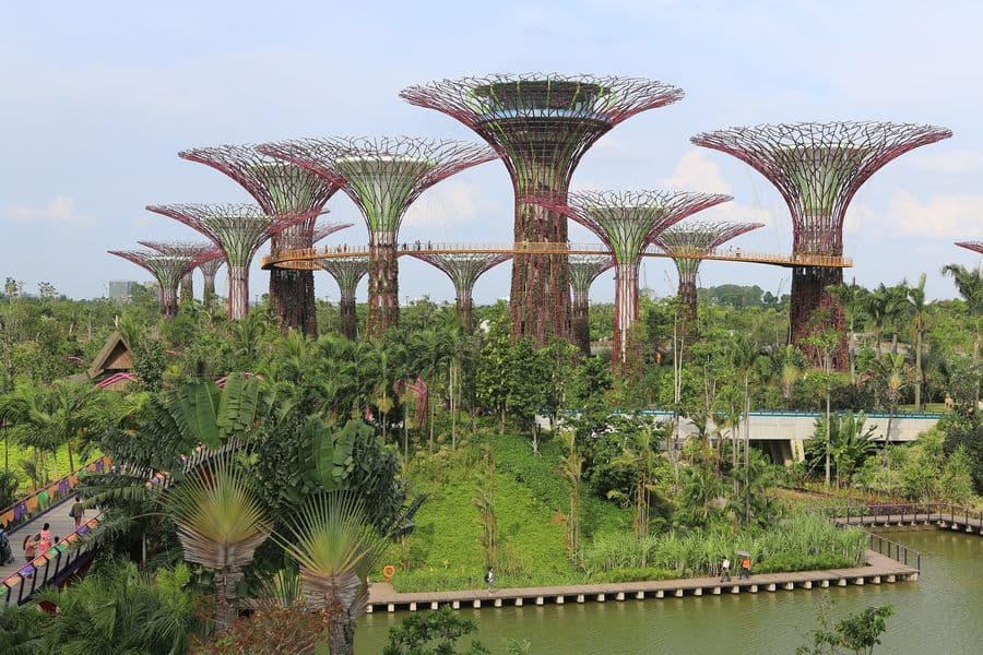 Gardens by the Bay — Supertree Grove