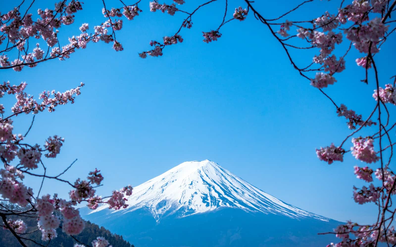 Destinasi Jepang